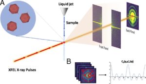 FEL-based fluctuation X-ray scattering (FXS)
