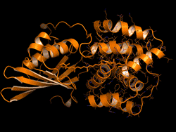 Translocation of the carotenoid pigment within a critical light-sensitive protein called the Orange Carotenoid Protein