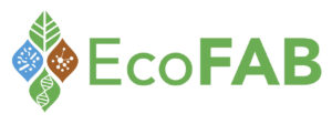 EcoFAB Logo with larger text