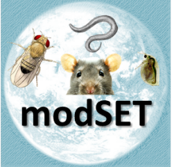 modSET logo