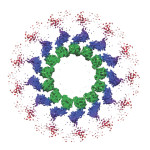 cryo-EM protein structure