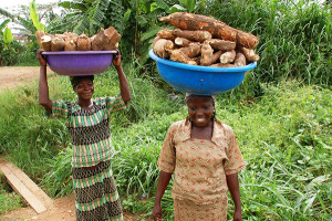 Cassava farmer in Nigeria. Image by Morag Ferguson