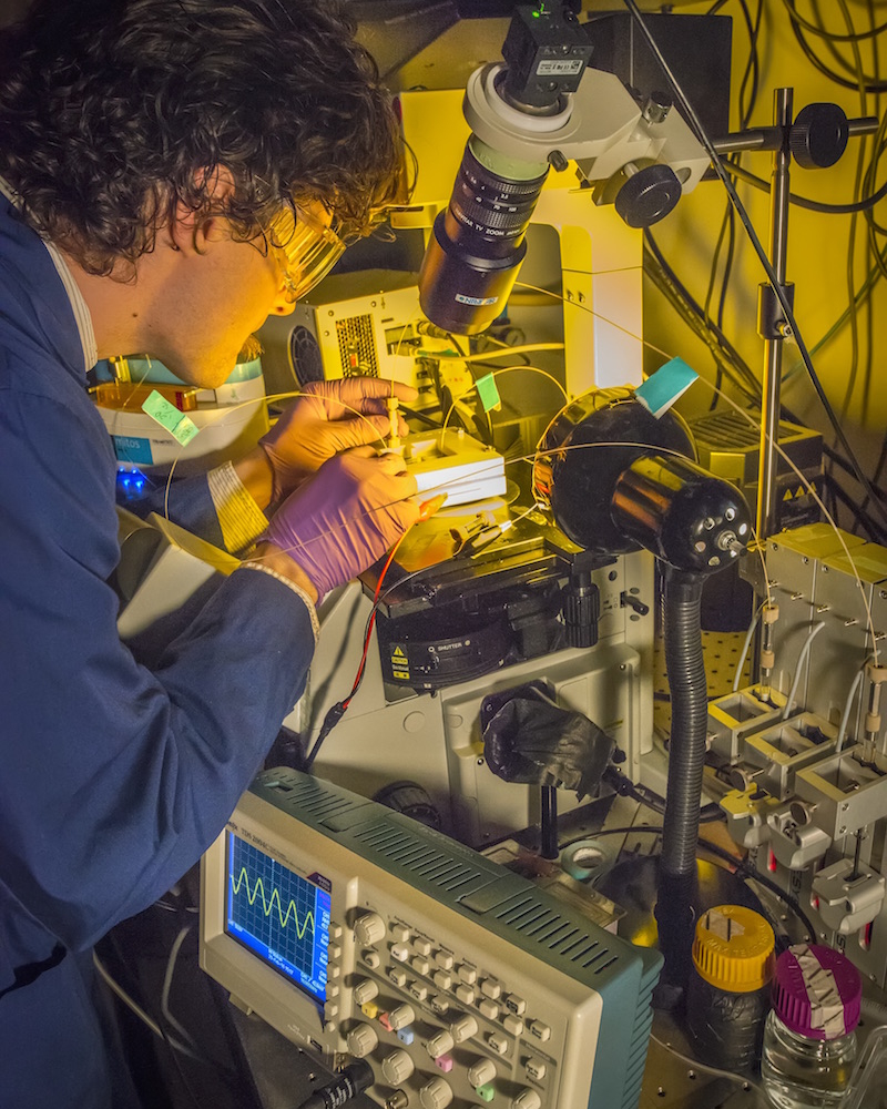 JBEI Lab Photo 022916