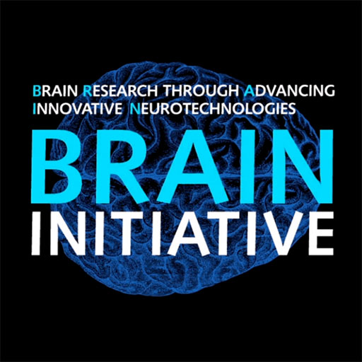 BRAIN Initiative logo