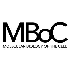 MBOC logo