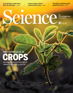 Science Magazine cover