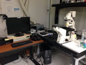 Zeiss Spinning Disk Confocal and Wide-field Epifluorescence Microscope