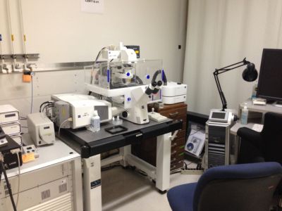 Zeiss LSM710 Confocal Laser Scanning Microscope