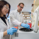 Researchers Pin Wang and Antoine Snijders investigate blood cells in the laboratory collected from mice exposed to thirdhand smoke