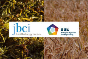 Joint BioEnergy Institute (JBEI) and Biological Systems and Engineering (BSE) logos