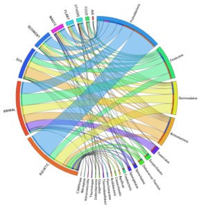 Habitat distribution of GEBA-I genomes