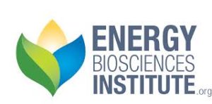 EnergyBiosciencesInstitute.org logo