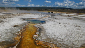 Samples used to demonstrate the efficacy of the new technology were taken from hot springs at Yellowstone National Park