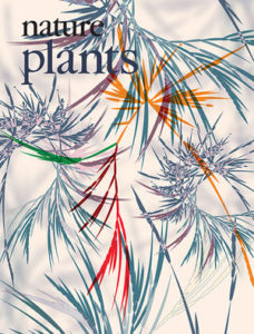 Nature Plants cover