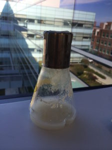 This 50-milliliter flask contains a symbiotic mix of cellulolytic enzymes derived from compost that was maintained for three years. (Credit: Steve Singer/JBEI)