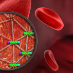 Red Blood Cell mesh