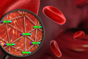 Red Blood Cell mesh