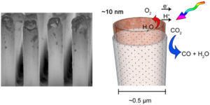 The inside surfaces of the cobalt oxide nanotubes provide the catalytic site for H2O oxidation