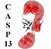 CASP13 logo