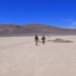 The Heradura Playa in Atacama Desert of Chile. Alessandro Airo‘s team is interested in the Atacama’s microbial communities. (Courtesy of A. Airo)