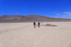 The Heradura Playa in Atacama Desert of Chile. Alessandro Airo‘s team is interested in the Atacama’s microbial communities. (Courtesy of A. Airo)