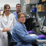 The JGI team involved in the study included (left to right): first author Frederik Schulz; senior author Tanja Woyke; Rex Malmstrom; and, Danielle Goudeau (sitting). (Janey Lee)