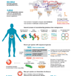 Infographic related to the Nature paper on computationally uncovering uncultivated microbes in the human gut. (Creative Services, Berkeley Lab)