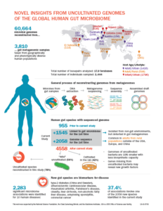 Infographic related to the Nature paper on computationally uncovering uncultivated microbes in the human gut. (Creative Services, Berkeley Lab)