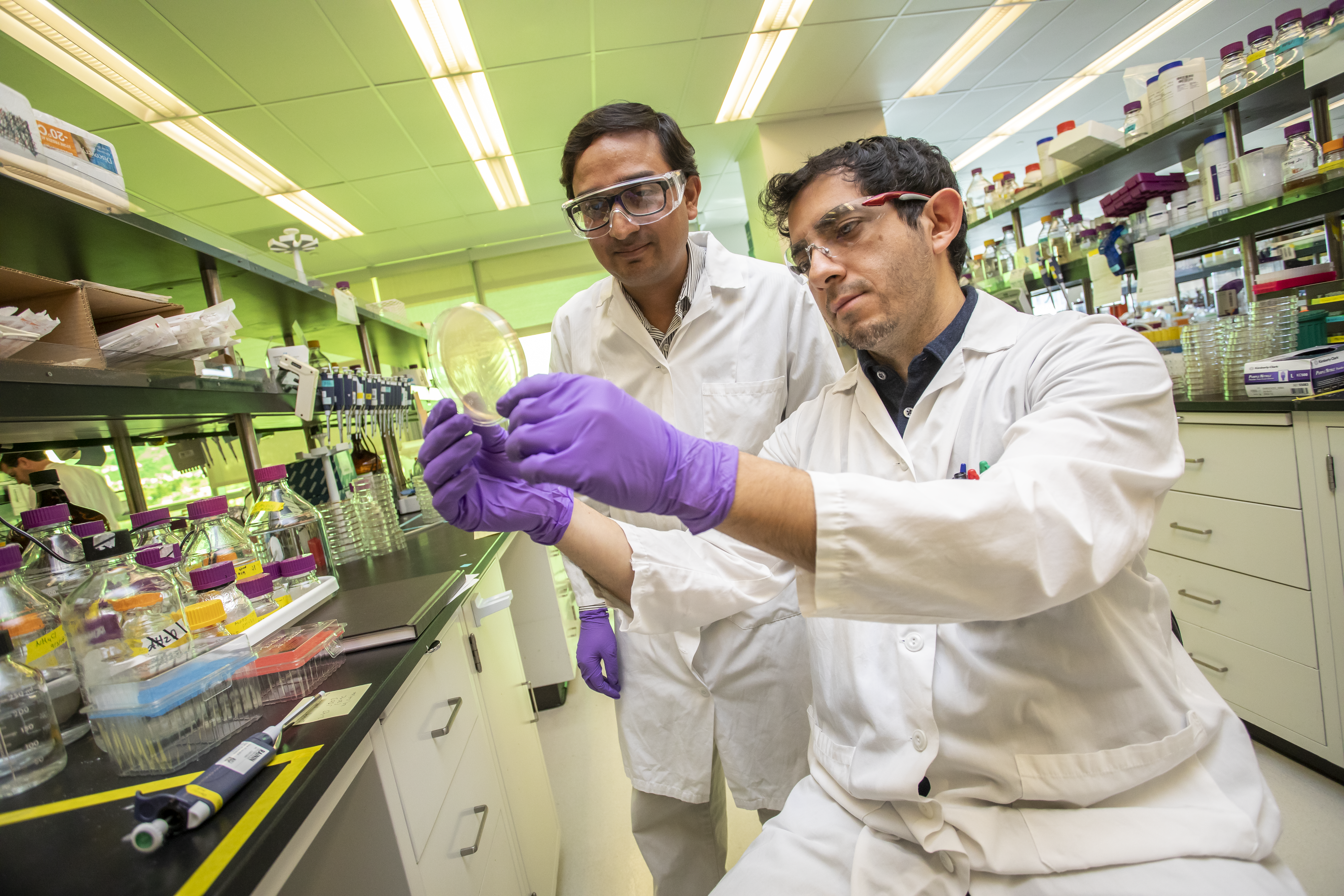 Project Scientist Daniel Mendez and Postdoc Nawa Baral work on samples at JBEI