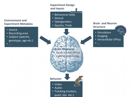 Neurodata Without Borders Project Wins 2019 R&D 100 Award