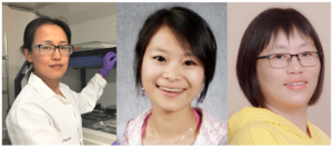The three first authors of this study, from left to right: Zhiying (Jean) Zhao, Jing Ke, and Gaoyan (Natalie) Wang, all from JGI. (Credit: Berkeley Lab)