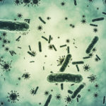 Bacterium closeup