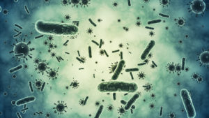 Bacterium closeup