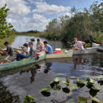 Students in Boca Raton Community High School’s A-Level Advanced International Certificate of Education (AICE) Biology class collected samples from the Arthur R. Marshall Loxahatchee National Wildlife Refuge for the pilot project with the JGI. (Alexander Klimczak)