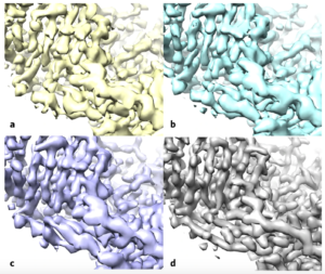 Using the enzyme β-galactosidase, also called lactase, as a test case, the researchers applied the standard methods (a) and then applied the improvement algorithm without (b) and with a filter to improve the uniformity of noise in the map (c), both of these maps are more similar to the deposited high-resolution protein structure map (d). (Credit: Terwilliger et al./Nature Methods)
