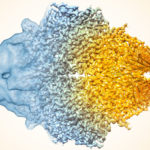 A composite image of the enzyme lactase showing how cryo-EM’s resolution has improved dramatically in recent years. Older images to the left, more recent to the right. (Credit: Veronica Falconieri/National Cancer Institute)