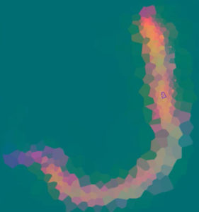 Example of a C. elegans roundworm image, showing the non-grid-based tiling pattern that gives the algorithm greater flexibility to zero in on areas of interest.