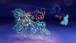 papain-like protease (PLpro) image