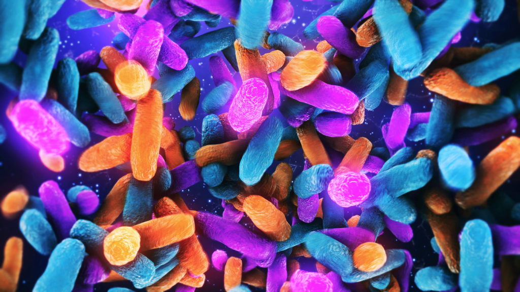 A rendering of Lactobacillus, a type of beneficial bacteria found in the human intestine microbiome. (Credit: nopparit/iStock)