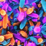 A rendering of Lactobacillus, a type of beneficial bacteria found in the human intestine microbiome. (Credit: nopparit/iStock)