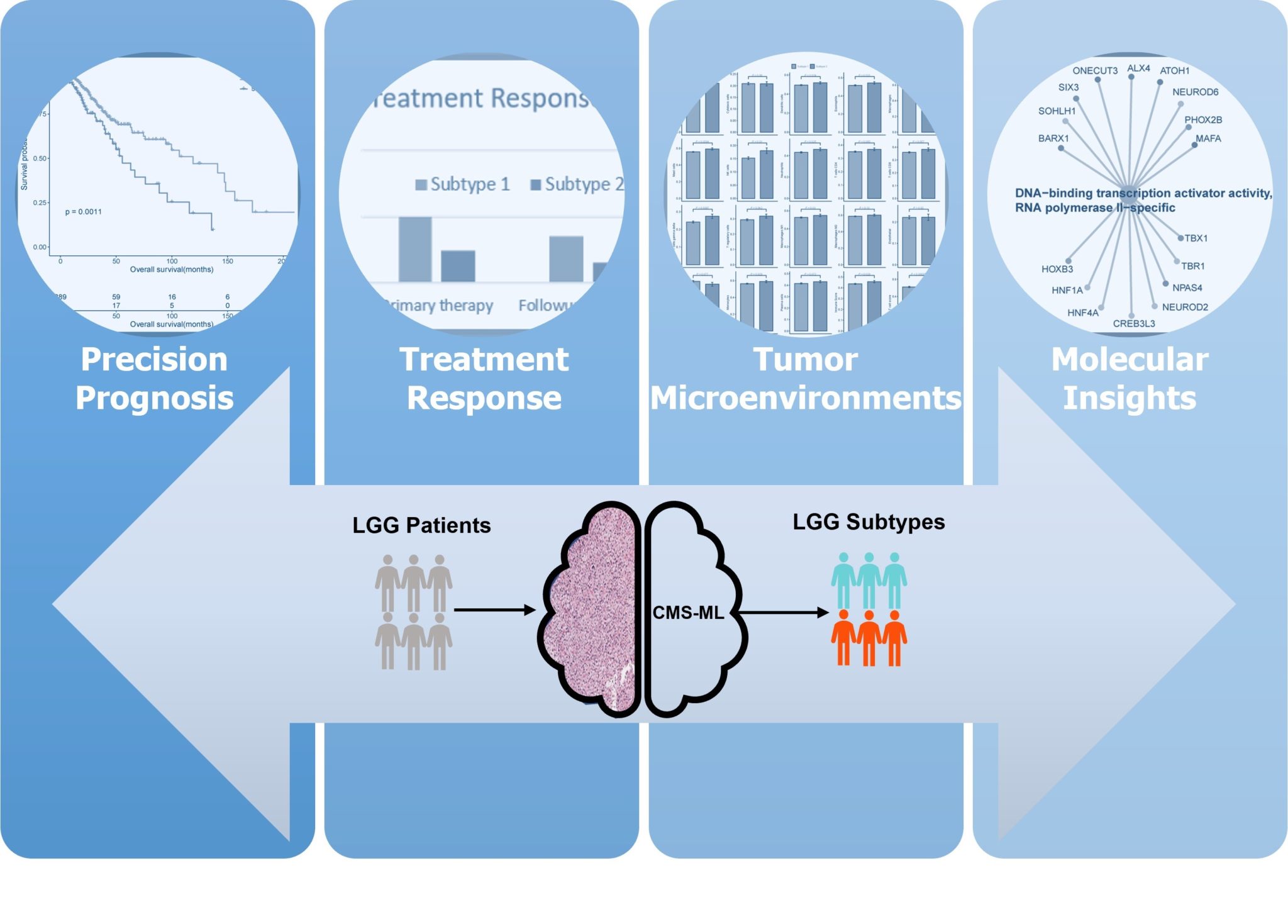 Researchers At Berkeley Lab Advance Cancer Research Using Artificial ...