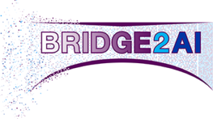 Bridge2AI logo