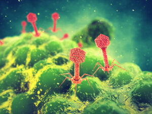 A rendering of bacteriophage viruses attacking a bacteria (Credit: nobeastsofierce/Adobe Stock)