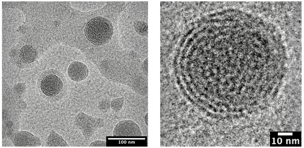 Black and white electron microscopy images of spherical lipid nanoparticles.