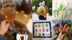 Snapshots of a home kombucha brew, a crochet bee, an embroidered picture of hanging plants, embroidered buckets of sand, and carrots.