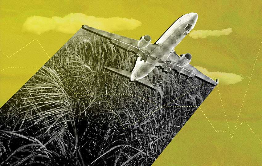 Taking Flight with Biofuels and Carbon Crops