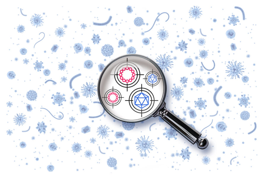 Illustration of a magnifying glass identifying viruses.