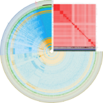 Square red chart overlaid over round blue, yellow, and green graph showing bacterial genes.