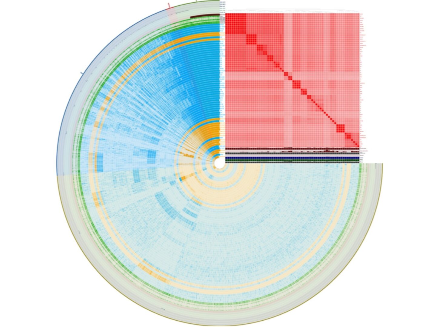 Square red chart overlaid over round blue, yellow, and green graph showing bacterial genes.