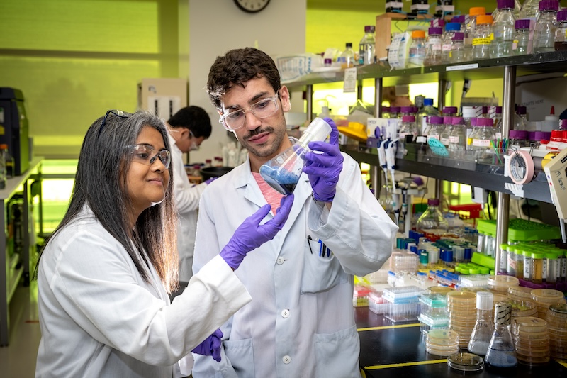 A woman and man wearing lab coats, safety glasses, and gloves check a sample lab in a lab.